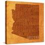 Arizona State Words-David Bowman-Stretched Canvas