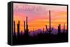 Arizona - Sunset and Cactus-Lantern Press-Framed Stretched Canvas