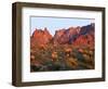 Arizona, Sunset Light on Brittlebush, Phacelia-John Barger-Framed Photographic Print