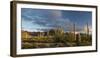 Arizona. Sunset over Desert Habitat, Organ Pipe Cactus National Monument-Judith Zimmerman-Framed Premium Photographic Print