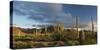 Arizona. Sunset over Desert Habitat, Organ Pipe Cactus National Monument-Judith Zimmerman-Stretched Canvas