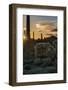 Arizona. Sunset over Desert Habitat, Organ Pipe Cactus National Monument-Judith Zimmerman-Framed Photographic Print