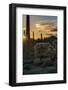 Arizona. Sunset over Desert Habitat, Organ Pipe Cactus National Monument-Judith Zimmerman-Framed Photographic Print