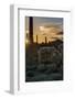 Arizona. Sunset over Desert Habitat, Organ Pipe Cactus National Monument-Judith Zimmerman-Framed Photographic Print