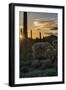 Arizona. Sunset over Desert Habitat, Organ Pipe Cactus National Monument-Judith Zimmerman-Framed Photographic Print