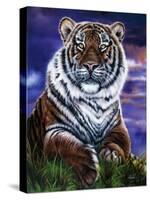 Arizona Tiger-Jenny Newland-Stretched Canvas