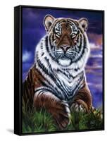 Arizona Tiger-Jenny Newland-Framed Stretched Canvas