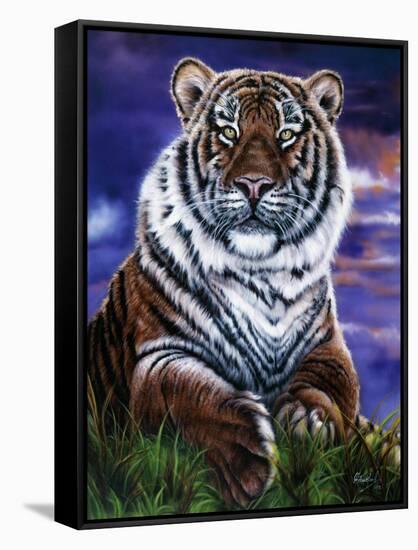 Arizona Tiger-Jenny Newland-Framed Stretched Canvas