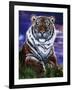 Arizona Tiger-Jenny Newland-Framed Giclee Print