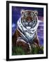 Arizona Tiger-Jenny Newland-Framed Giclee Print