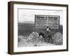 Arizona: Tombstone, 1937-Dorothea Lange-Framed Giclee Print