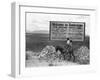 Arizona: Tombstone, 1937-Dorothea Lange-Framed Giclee Print