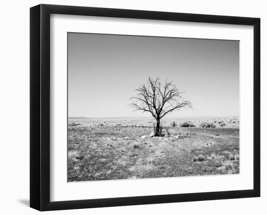 Arizona Tree Abstract Landscape Black and White, Two Guns Ghost Town-Kevin Lange-Framed Photographic Print