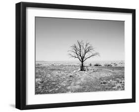 Arizona Tree Abstract Landscape Black and White, Two Guns Ghost Town-Kevin Lange-Framed Photographic Print