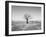 Arizona Tree Abstract Landscape Black and White, Two Guns Ghost Town-Kevin Lange-Framed Photographic Print