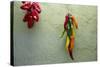 Arizona, Tucson, Tubac. Hanging ceramic chili peppers on adobe wall.-Cindy Miller Hopkins-Stretched Canvas