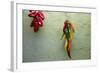 Arizona, Tucson, Tubac. Hanging ceramic chili peppers on adobe wall.-Cindy Miller Hopkins-Framed Photographic Print