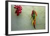 Arizona, Tucson, Tubac. Hanging ceramic chili peppers on adobe wall.-Cindy Miller Hopkins-Framed Photographic Print