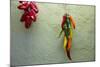 Arizona, Tucson, Tubac. Hanging ceramic chili peppers on adobe wall.-Cindy Miller Hopkins-Mounted Photographic Print