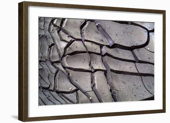 Arizona-Utah Border, Vermilion Cliffs National Monument, Drying Mud Pattern in Buckskin Gulch-John Barger-Framed Photographic Print