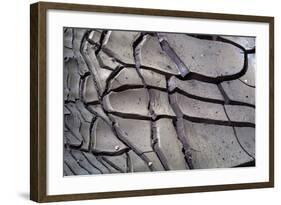 Arizona-Utah Border, Vermilion Cliffs National Monument, Drying Mud Pattern in Buckskin Gulch-John Barger-Framed Photographic Print
