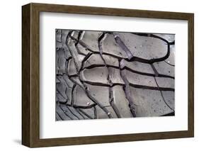 Arizona-Utah Border, Vermilion Cliffs National Monument, Drying Mud Pattern in Buckskin Gulch-John Barger-Framed Photographic Print