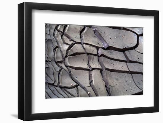 Arizona-Utah Border, Vermilion Cliffs National Monument, Drying Mud Pattern in Buckskin Gulch-John Barger-Framed Photographic Print