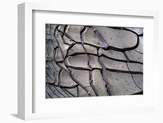 Arizona-Utah Border, Vermilion Cliffs National Monument, Drying Mud Pattern in Buckskin Gulch-John Barger-Framed Photographic Print