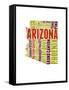Arizona Word Cloud Map-NaxArt-Framed Stretched Canvas