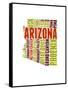 Arizona Word Cloud Map-NaxArt-Framed Stretched Canvas