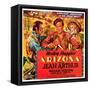 Arizona-null-Framed Stretched Canvas