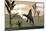 Arizonasaurus Dinosaur Amongst Pachypteris Trees-Stocktrek Images-Mounted Art Print