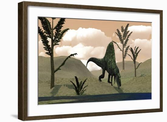 Arizonasaurus Dinosaur Amongst Pachypteris Trees-Stocktrek Images-Framed Art Print