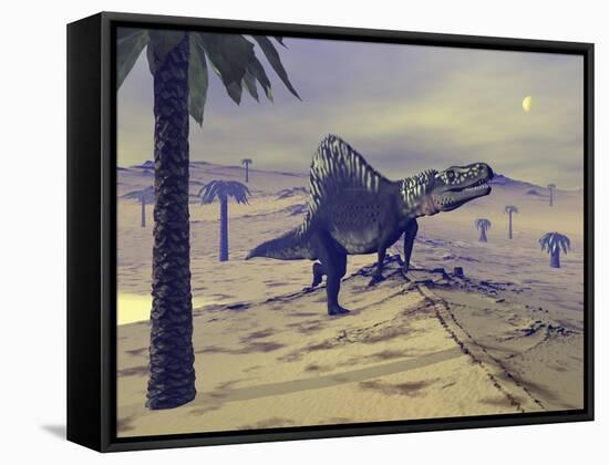 Arizonasaurus Dinosaur Walking in the Desert-Stocktrek Images-Framed Stretched Canvas
