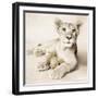 Arjuna and Teddy-Rachael Hale-Framed Art Print