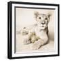 Arjuna and Teddy-Rachael Hale-Framed Photographic Print