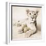 Arjuna and Teddy-Rachael Hale-Framed Photographic Print