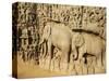 Arjuna's Penance Granite Carvings, Mamallapuram (Mahabalipuram), UNESCO World Heritage Site, India-Tuul-Stretched Canvas