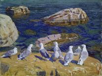 Seagulls, 1910-Arkadi Rylow-Stretched Canvas