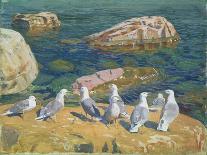 Seagulls, 1910-Arkadij Aleksandrovic Rylov-Giclee Print