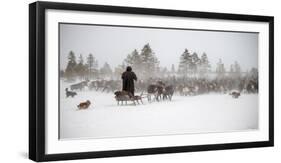 Arkadij Drives a Herd of Reindeer-Marcel Rebro-Framed Photographic Print