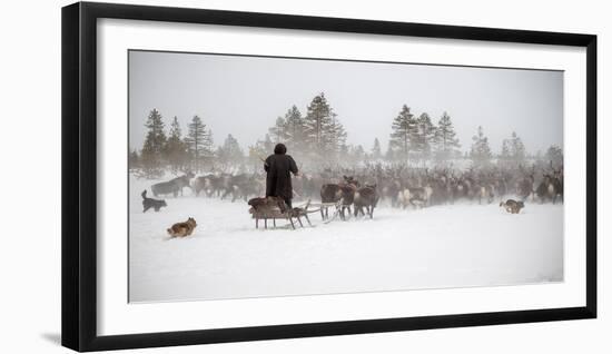 Arkadij Drives a Herd of Reindeer-Marcel Rebro-Framed Photographic Print