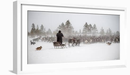 Arkadij Drives a Herd of Reindeer-Marcel Rebro-Framed Photographic Print