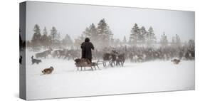 Arkadij Drives a Herd of Reindeer-Marcel Rebro-Stretched Canvas