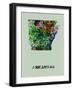 Arkansas Color Splatter Map-NaxArt-Framed Art Print