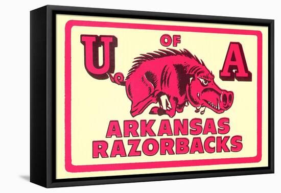 Arkansas Razorback Mascot-null-Framed Stretched Canvas