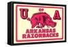 Arkansas Razorback Mascot-null-Framed Stretched Canvas