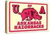 Arkansas Razorback Mascot-null-Stretched Canvas
