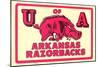 Arkansas Razorback Mascot-null-Mounted Art Print