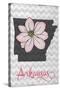 Arkansas - State Flower - Apple Blossom-Lantern Press-Stretched Canvas